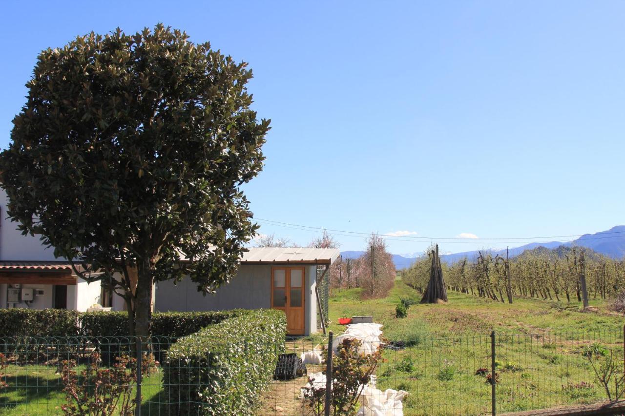Casa Dell'Amicizia Apartment Castellani Екстериор снимка
